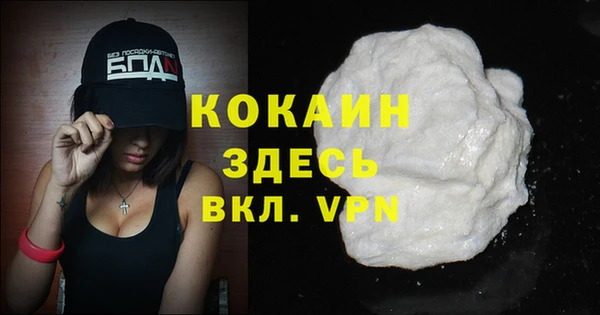 кокс Арсеньев