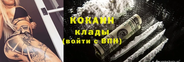кокс Арсеньев